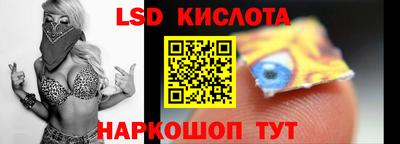 стаф Новозыбков