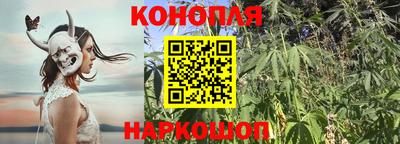 соль ск Новокубанск